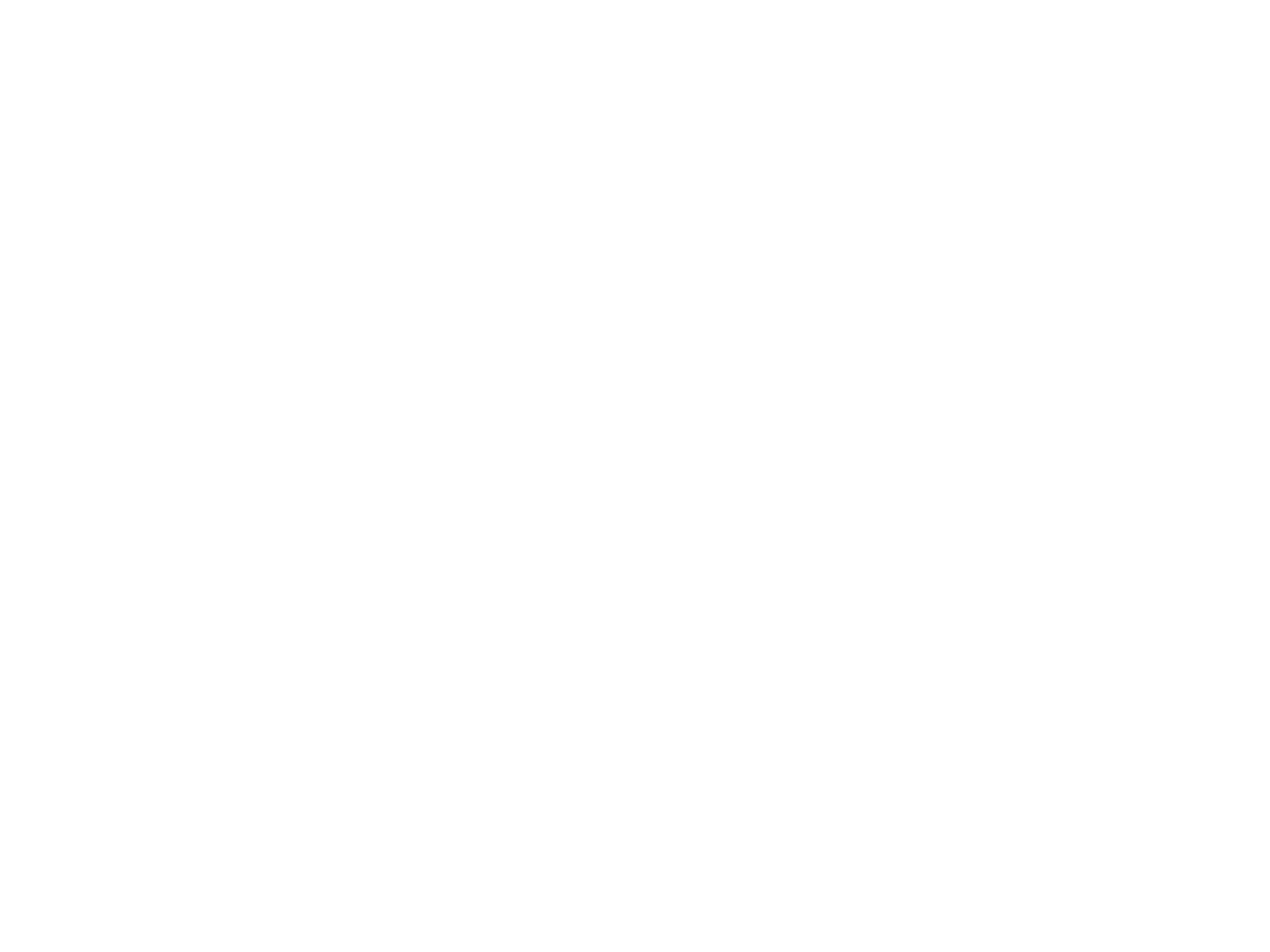 Nova Logo in weiss